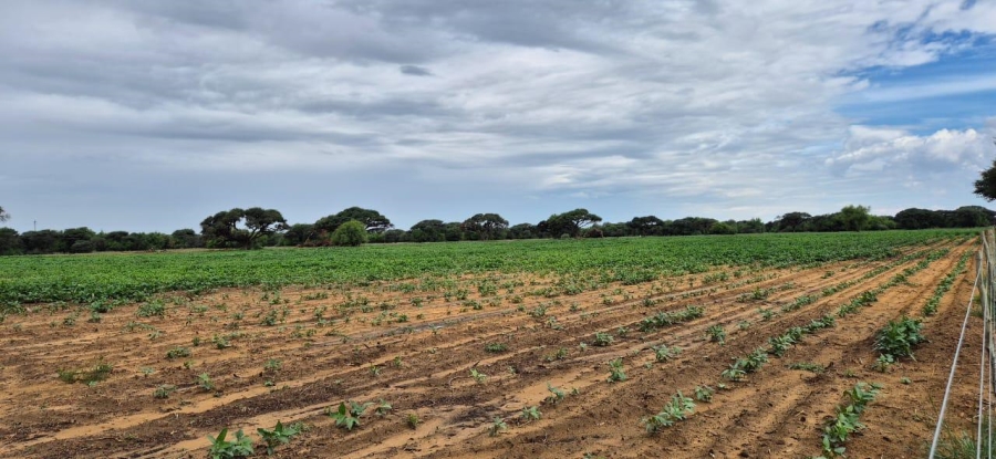  Bedroom Property for Sale in Hoopstad Rural Free State